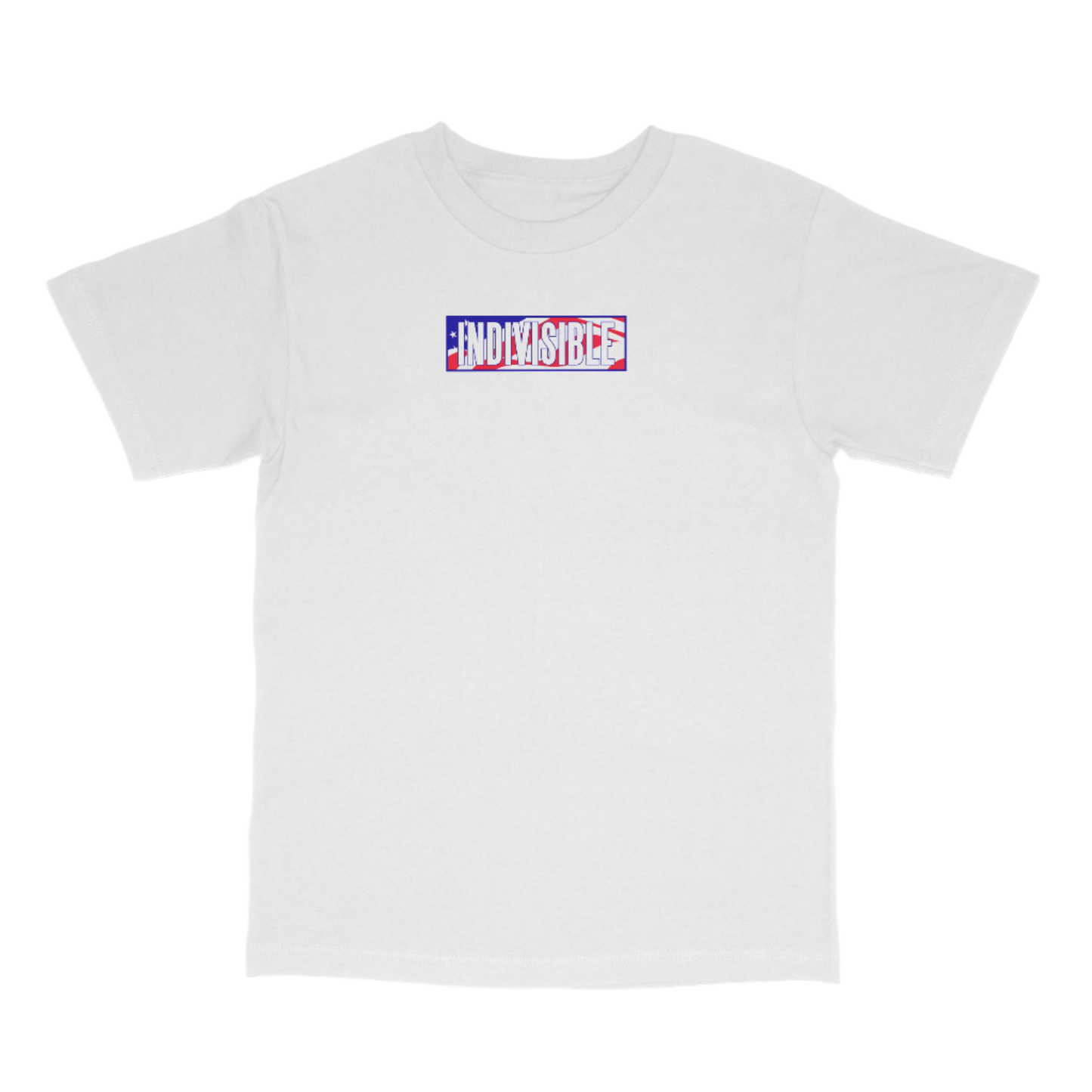 Indivisible Freedom Box Logo Tee