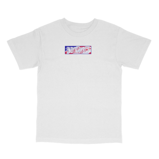 Indivisible Freedom Box Logo Tee